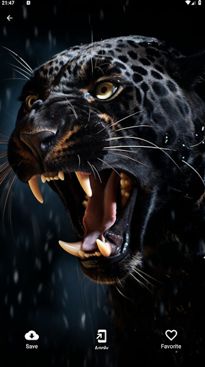 3D Animals Wallpapers Full HD Screenshot 0