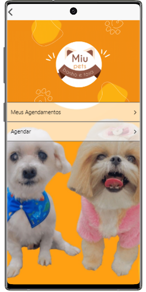Miu Pets Screenshot 2