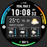 Weather watch face W10