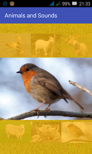 Animals and Sounds Screenshot 1