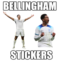 Bellingham Stickers