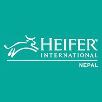 Heifer-LFST