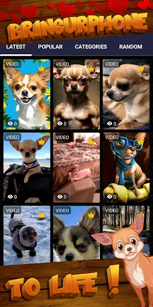 chihuahua wallpaper Screenshot 1