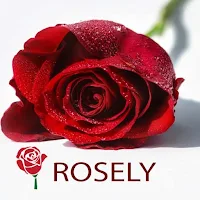 Rosely - Rose wallpapers HD