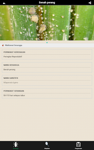 MARDI MyPerosakPadi Screenshot 2