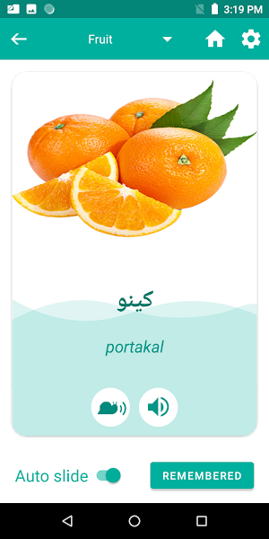 Turkish Urdu Translator Screenshot 3
