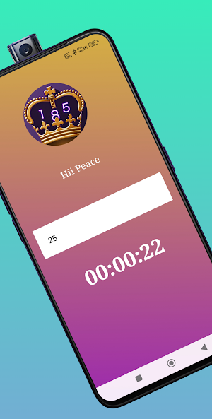 Stake KingTimer Screenshot 3