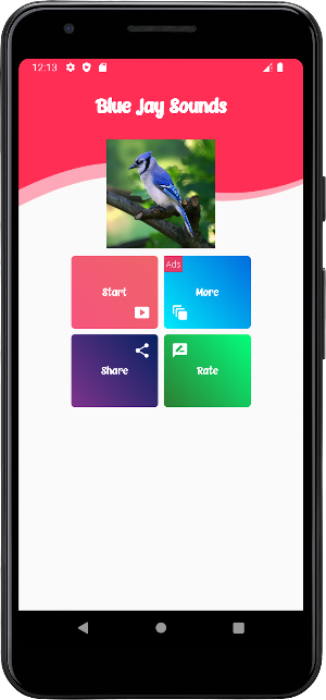 Blue Jay Sounds Screenshot 0