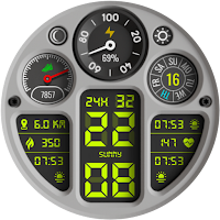 PT42 Digital Watch Face