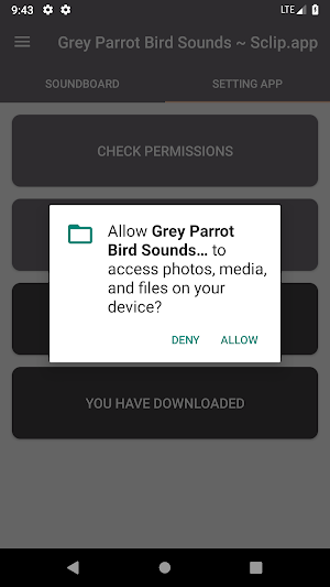 Grey Parrot Bird Sound Collections ~ Sclip.app Screenshot 1