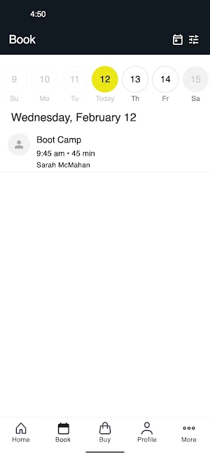 DMSfit Screenshot 1