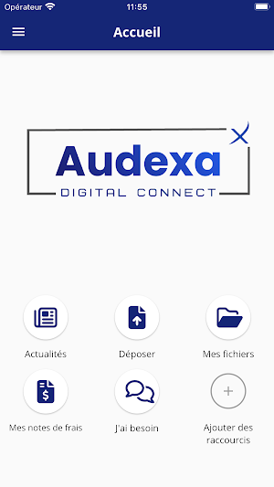 audexa digital Screenshot 1
