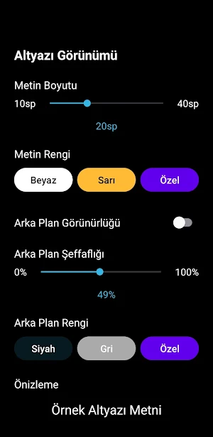 AudiVis Player Screenshot 2