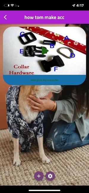 luxury dog accessories Screenshot 2