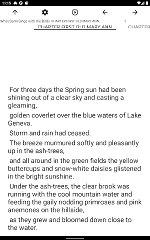 Book, What Sami Sings with the Screenshot 3