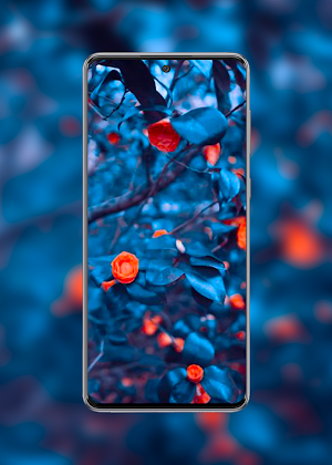 Moto Edge 30 Neo & Ultra Walls Screenshot 3