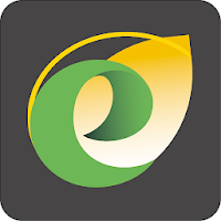 E-grains Noriap
