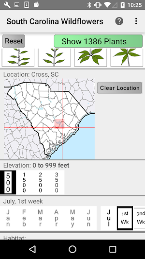 South Carolina Wildflowers Screenshot 1