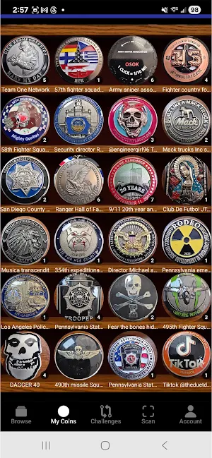 Challenge Coin Check C/B/S/T Screenshot 1