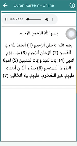 Mishary Rashid Al Afasy Quran Screenshot 3