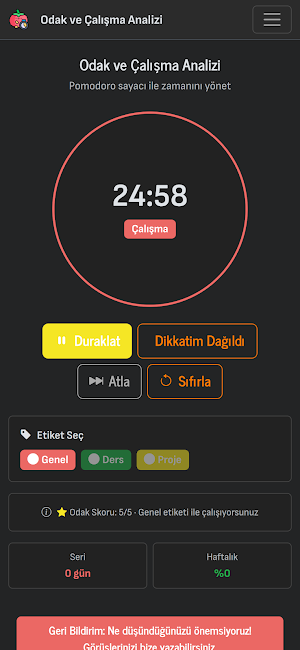 Odak & Çalışma Analizi Screenshot 2