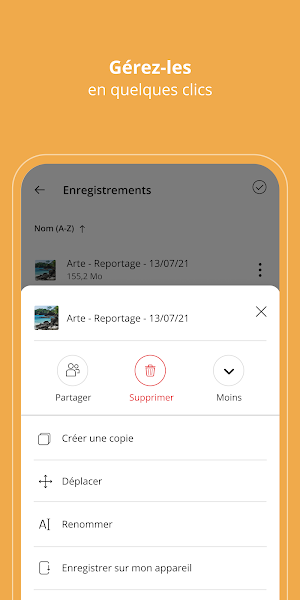 Freebox Files Screenshot 2