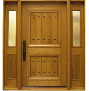 House Door Design Indian Style Screenshot 0
