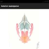 The Rorschach test