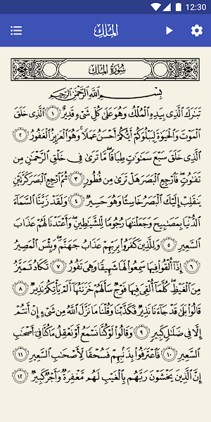 Surah Al-Mulk with Translation & Audio Screenshot 1