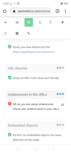 SEO Auditor Screenshot 2