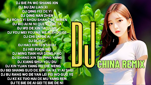 DJ Mp3 China Remix 2025 Screenshot 0