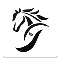 Designer Horse Sales