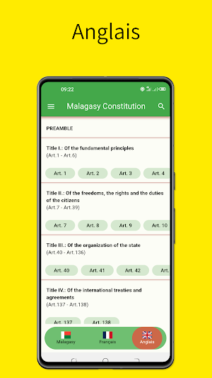 Constitution Malagasy Screenshot 2