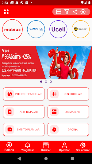 Mobile USSD Screenshot 0