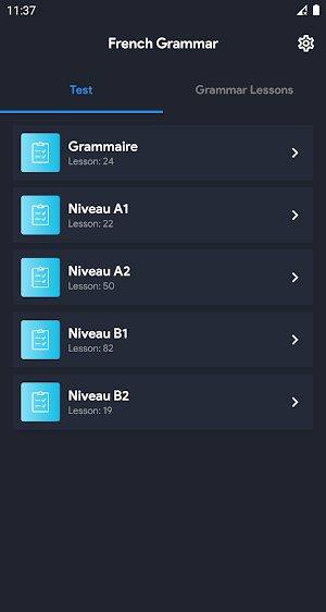 Grammar French exercises Screenshot 0