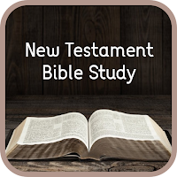 New Testament Bible Study Book