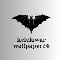 Kelelawar Wallpaper24