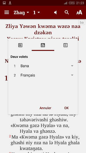 Bana Nouveau Testament Screenshot 2