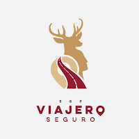 VIAJERO SEGURO