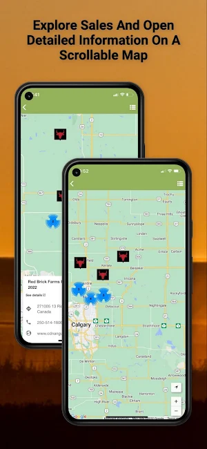 Livestock Sales App Screenshot 1