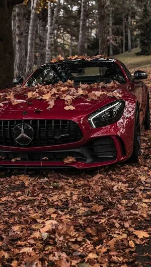 Mercedes AMG GT Wallpapers Screenshot 3
