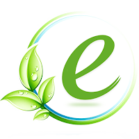 Pakistan EService All In One
