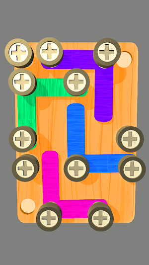 Screw Puzzle - Nuts and Bolts Screenshot 1