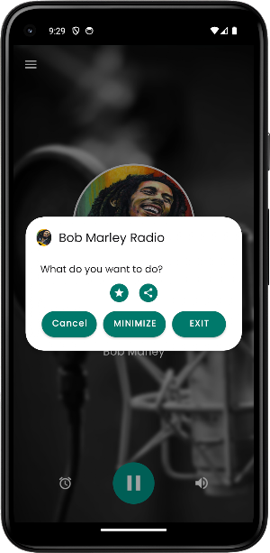 Bob Marley Radio Screenshot 3