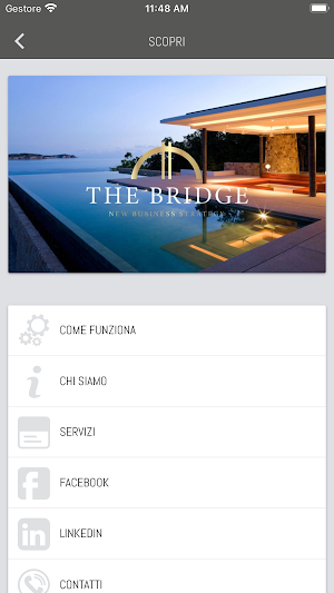 The Bridge Screenshot 1