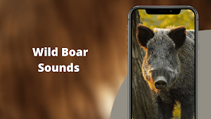WildBoar Sounds - Wild Boar Calls for Hunting Screenshot 0
