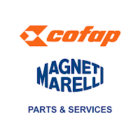 Catálogo Exportação MM Cofap