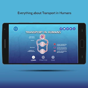 Transport in Humans Biology Screenshot 0