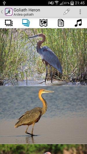 Sasol eBirds: Kruger Park Screenshot 2