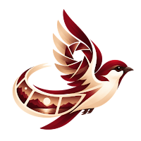 Sparrow Transfer